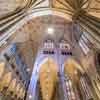 St. Patrick's Cathedral in New York City photo, May 2016