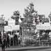 Disneyland Mine Train photo, 1957