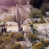 Disneyland Nature's Wonderland 1950s