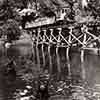 Nature's Wonderland Mine Train attraction, May 1961