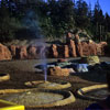 Disneyland Mine Train, November 1962