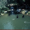 Disneyland Nature's Wonderland photo, July 1972