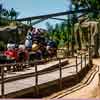 Disneyland Pack Mules attraction 1958/1959