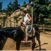 Disneyland Pack Mules photo, 1958