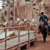 Disneyland Pack Mules, March 1957