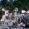 Disneyland Pack Mules, January 1965