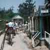 Disneyland Pack Mules, August 1960 1960