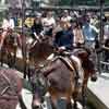 Disneyland Pack Mules, December 1967 photo