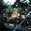 June 1972 Disneyland Pack Mule attraction photo