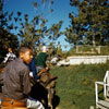 Pack Mules through Nature’s Wonderland, January 1961