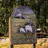 Sonka Ranch, Myrtle Creek, Oregon, July 2003 photo