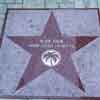 Palm Springs Alice Faye Walk of Stars block, February 2022