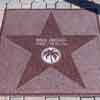 Palm Springs Rock Hudson Walk of Stars block, February 2022