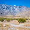 San Bernardino mountains, Palm Springs, April 2023