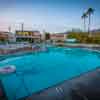 Palm Springs Ace Hotel pool, March 2019