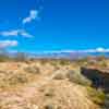 Anza-Borrego Desert, February 2020