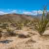 Anza-Borrego Desert, February 2020