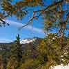 Palm Springs Aerial Tramway, December 2008