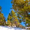 Palm Springs Aerial Tramway, December 2008