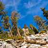 Palm Springs Aerial Tramway, December 2009