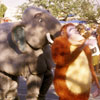 Disneyland Parade April 1980