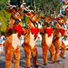 Reindeer, Disneyland Christmas Fantasy Parade, December 2, 2006