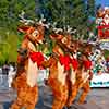 Reindeer, Disneyland Christmas Fantasy Parade, December 2, 2006