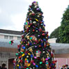 Christmas Fantasy Parade, December 2009