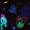 Disneyland Fantasmic Photo, One More Day Leap Year 1am performance, March 1, 2012