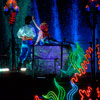 Disneyland Fantasmic Photo, First performance June 30, 2012