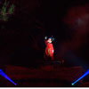 Disneyland Fantasmic Photo, First performance June 30, 2012