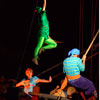 Disneyland Fantasmic Photo, First performance June 30, 2012