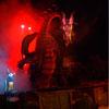 Disneyland Fantasmic Photo, First performance June 30, 2012