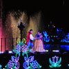 Disneyland Fantasmic Photo, June 2009