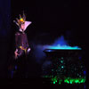 Disneyland Fantasmic Photo, June 2009