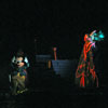 Disneyland Fantasmic Photo, June 2009