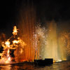 Disneyland Fantasmic Photo, June 2009