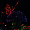 Main Street Electrical Parade at DCA, March 2008