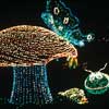 Disneyland Main Street Electrical Parade August 1981