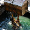 Pirate's Lair at Tom Sawyer Island, August 2008