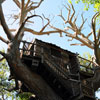 Pirate's Lair at Tom Sawyer Island, August 2008