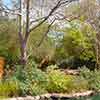 Pirate's Lair at Tom Sawyer Island, February 2007