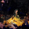 Pirates of the Caribbean treasure room January 2011