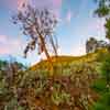 Mt. Rubidoux in Riverside, Califoria January 2017