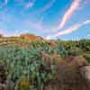 Mt. Rubidoux in Riverside, Califoria January 2017