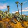 Mt. Rubidoux in Riverside, Califoria January 2017