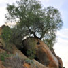 Mt. Rubidoux in Riverside, Califoria March 2012