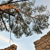 Mt. Rubidoux in Riverside, Califoria March 2012