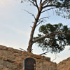 Mt. Rubidoux in Riverside, Califoria March 2012