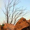 Mt. Rubidoux in Riverside, Califoria March 2012